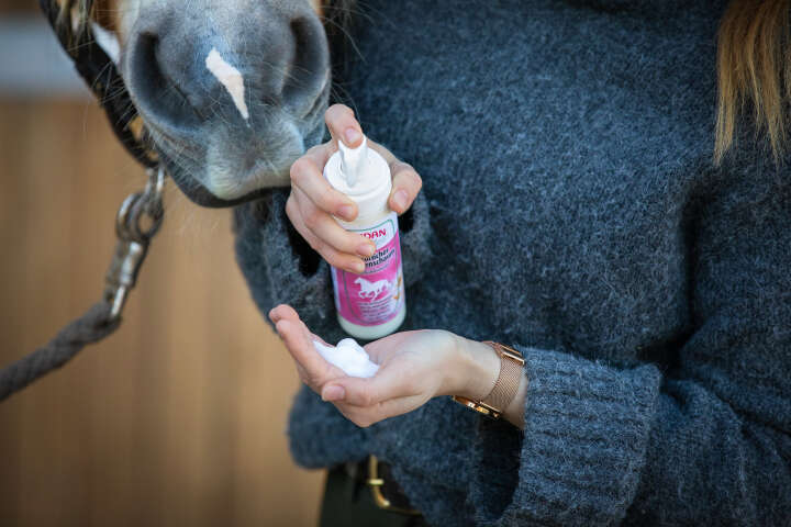 ZEDAN Natürlicher Mähnenschaum 200ml